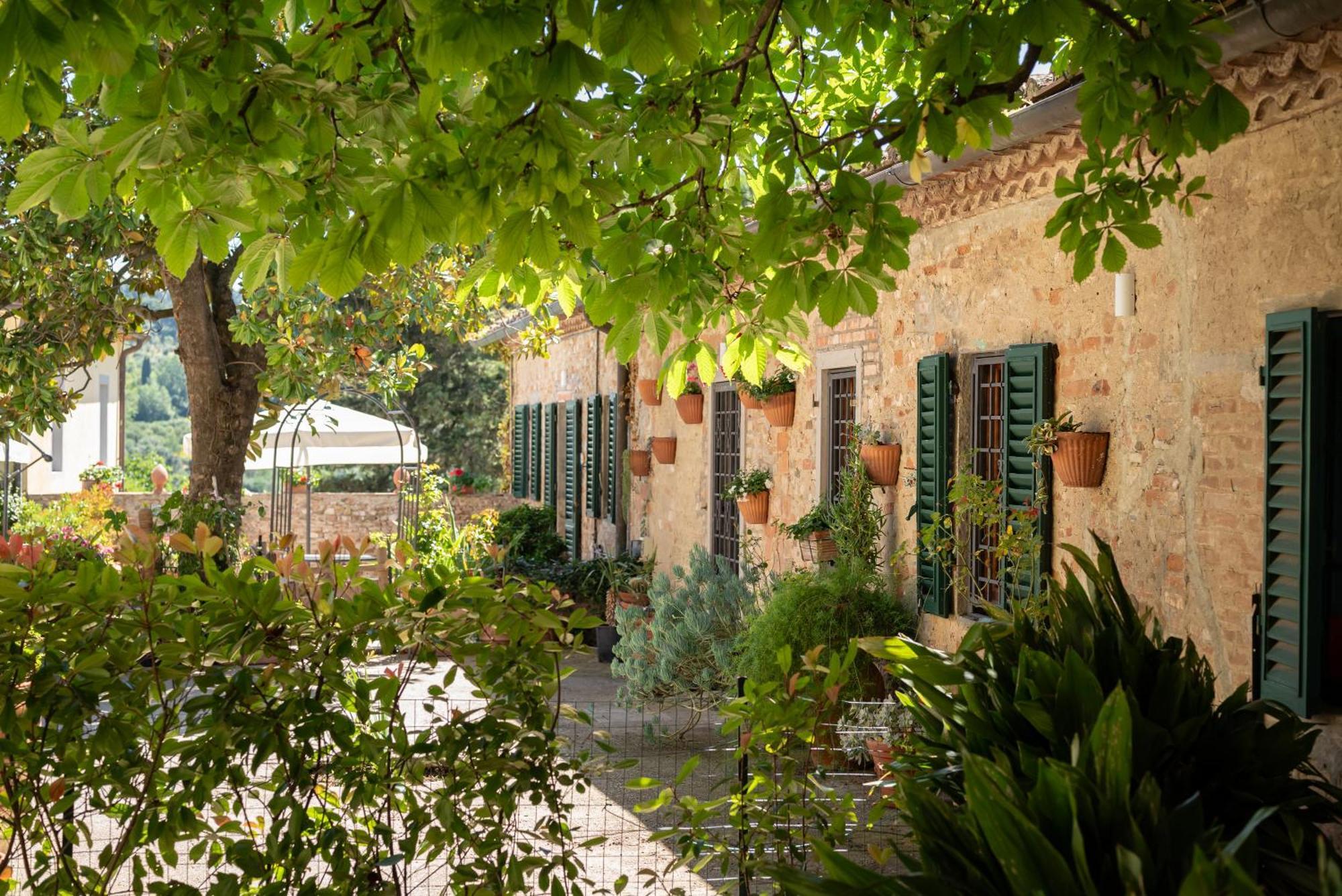 Agriturismo Bio Fattoria Bacio Certaldo Exterior photo